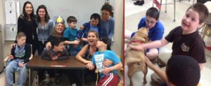 Ms. Jess's classroom and Therapy Dog visits for disabled students